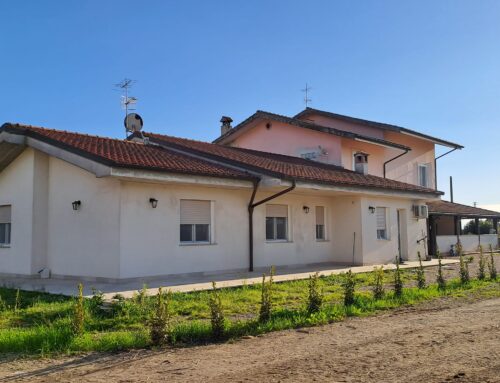 Azienda agricola con villa in vendita